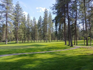 View of course from the green/lot bndry