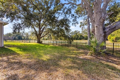 10804 Whitland Grove Dr, Riverview, FL 33578 - photo 7