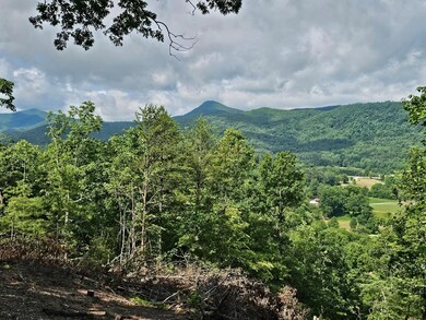 17 Buckhead Hills, Hiawassee, GA 30546 - photo 4