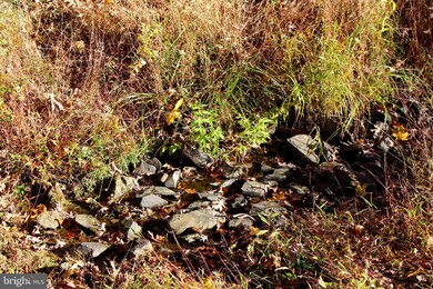 63 +/- Acres Off Needmore Rd, Baker, WV 26801 - photo 7