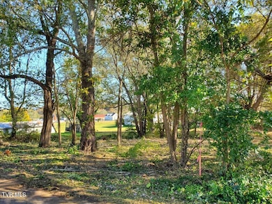 0 Iris St E, Mosheim, TN 37818 - photo 4