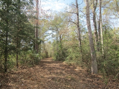 778 Hortons Hollow Rd, Lufkin, TX 75904 - photo 6