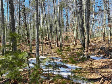 Lot 5 Middle Rd unit 29-002-005, Center Tuftonboro, NH 03816 - photo 7