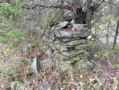 0 Central Pike, Harrodsburg, KY 40330 - photo 3