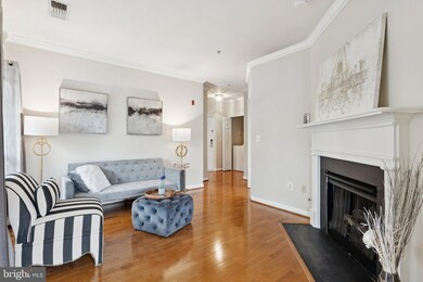 4561 Strutfield Ln unit 3305, Alexandria, VA 22311 - photo 2