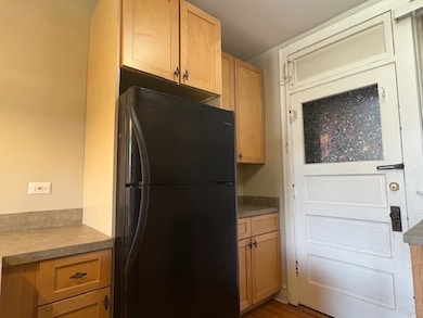 500 Beloit Ave unit A2, Forest Park, IL 60130 - photo 6