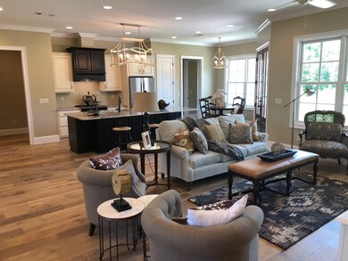 5009 Braemar Park Dr, Oxford, MS 38655 - photo 3