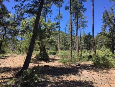 37 Strawberry Hollow Dr unit 37, Pine, AZ 85544 - photo 2