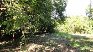 2430 Walcott Ln, Houston, TX 77088 - photo 2