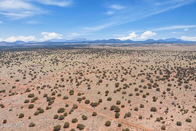 3628 E Valencia Rd unit Lot J, Williams, AZ 86046 - photo 3