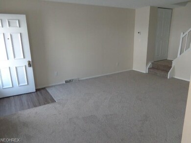 New Carpet