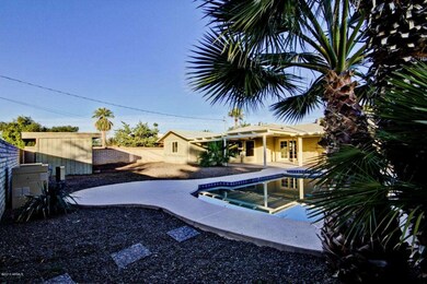 windsorbackyard