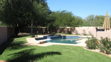 Pool Yard