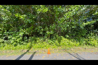 0 Kilika St unit 718096, Keaau, HI 96749 - photo 6