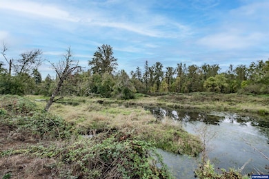 15984 N Santiam Hwy SE, Stayton, OR 97383 - photo 6