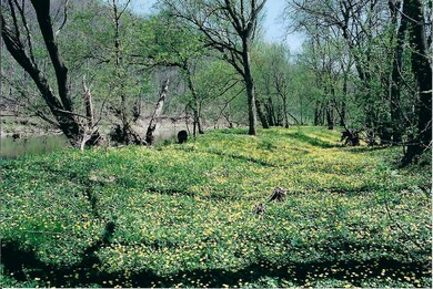 Scan_0003