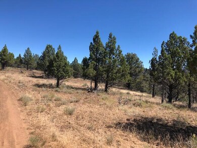 0 Belshaw Rd unit 220150479, Mount Vernon, OR 97865 - photo 5