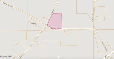 No Warren Cook Rd, Mendenhall, MS 39114 - photo 7