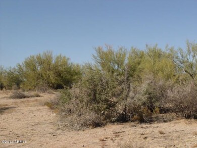 Large native desert trees