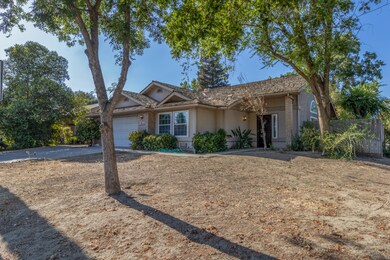 W Paradise Ave. Visalia-33