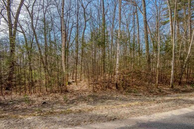 0 Spruce unit Lot 9 4948918, Wolfeboro, NH 03894 - photo 7