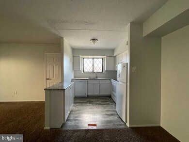 Altemus Farms unit 173, Brookhaven, PA 19015 - photo 7