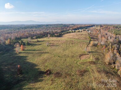 1888 Pea Ridge Rd, Mill Spring, NC 28756 - photo 4