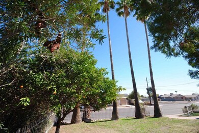 Front  Yard