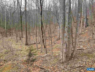 299 Crawfords Climb unit 32, Nellysford, VA 22958 - photo 4