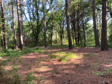 TBD Fm 59, Athens, TX 75148 - photo 6