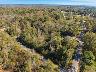 1100 McKinnonville Rd, Molino, FL 32577 - photo 3