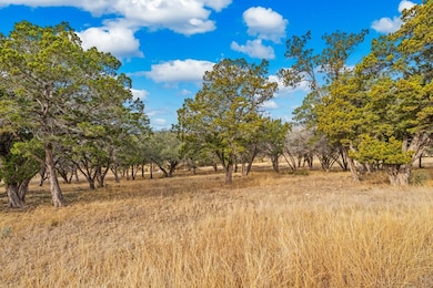 000 Spring Lakes Pkwy W unit 89, Ingram, TX 78025 - photo 3