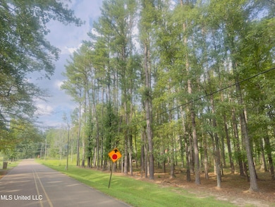 4887 Jackson Raymond Rd, Raymond, MS 39154 - photo 6