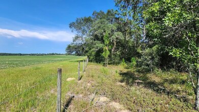 0 SW Pine Bluff Rd unit MFROM659447, Dunnellon, FL 34431 - photo 7