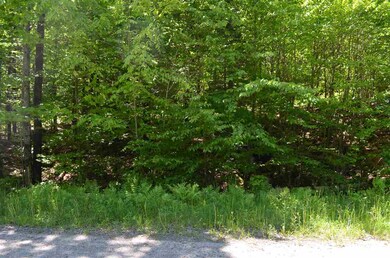 0 Farm Ridge Rd unit Lots 18/19, Ludlow, VT 05149 - photo 3