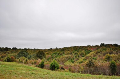 DSC_0569