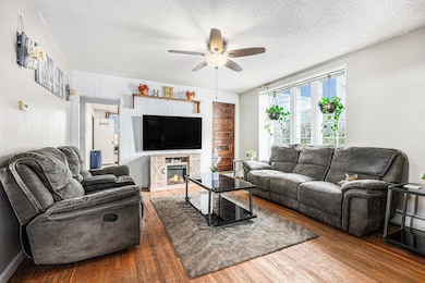 211 N Maple St, Sturgis, MI 49091 - photo 4