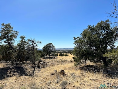 89 Ponderosa View Loop, Pie Town, NM 87827 - photo 7