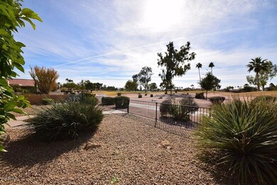 Back Yard View