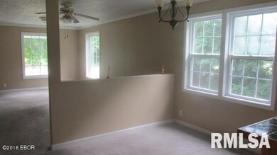 1916 Dorris Heights Rd, Harrisburg, IL 62946 - photo 3