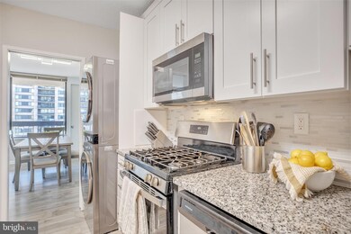 Skyline Plaza unit 1303N, Baileys Crossroads, VA 22041 - photo 6