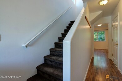 AVDP05 (1)