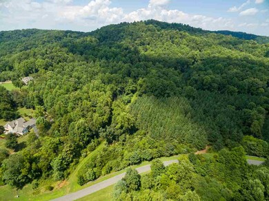LOT 38 Blandemar Dr, Samuel Miller, VA 22903 - photo 6