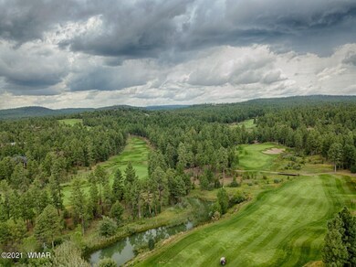 3121 Sage Ln, Show Low, AZ 85901 - photo 7