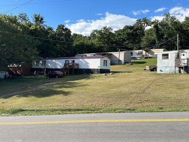 113 Verna Ln, Narrows, VA 24124 - photo 2