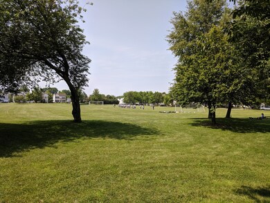 Neighborhood Amenities