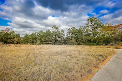 LOTS 1-7 Brenda Ln, Henderson, TX 75657 - photo 2