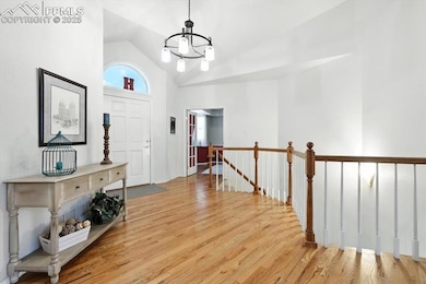 Foyer with a chandelier, wood finished floors, and high vaulted ceiling