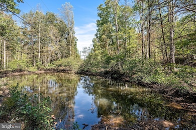 LOT 4 Back Creek Rd, Gore, VA 22637 - photo 2