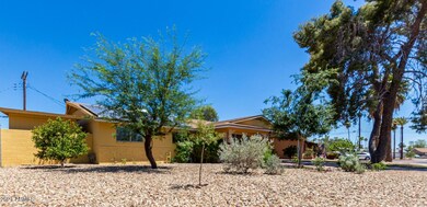 Enormous Lot w/Fruit Trees!